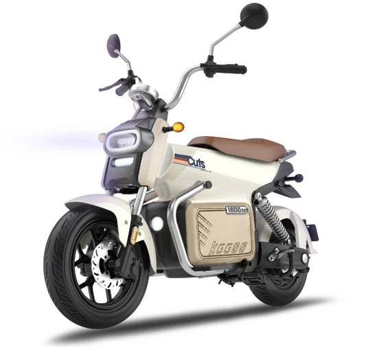 Guang Xian High-Performance E Moped 800W 60V Vintage Electric Motorcycle Electric Scooter Bike for Adults