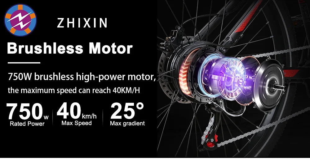 Free Shipping 750W 48V 14Ah Moped Retro Style Pedal Assist Multifunctional Electric Mountain Bike