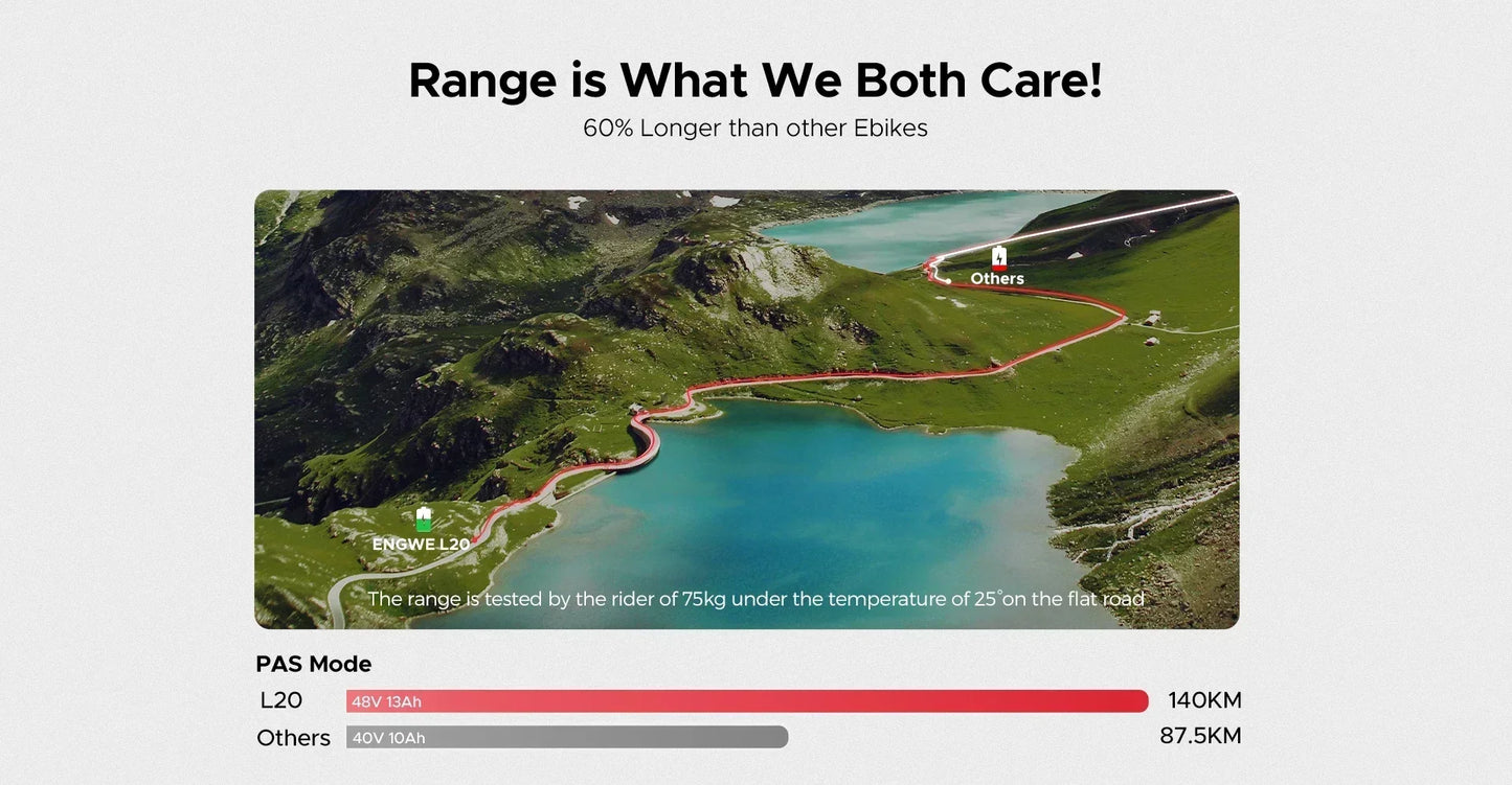 Electric Bicycle ENGWE L20 250W 48V 13AH Motor Battery 20*4.0inch Fat Tire Ebike 140km Mileage Adult Mountain City Electric Bike