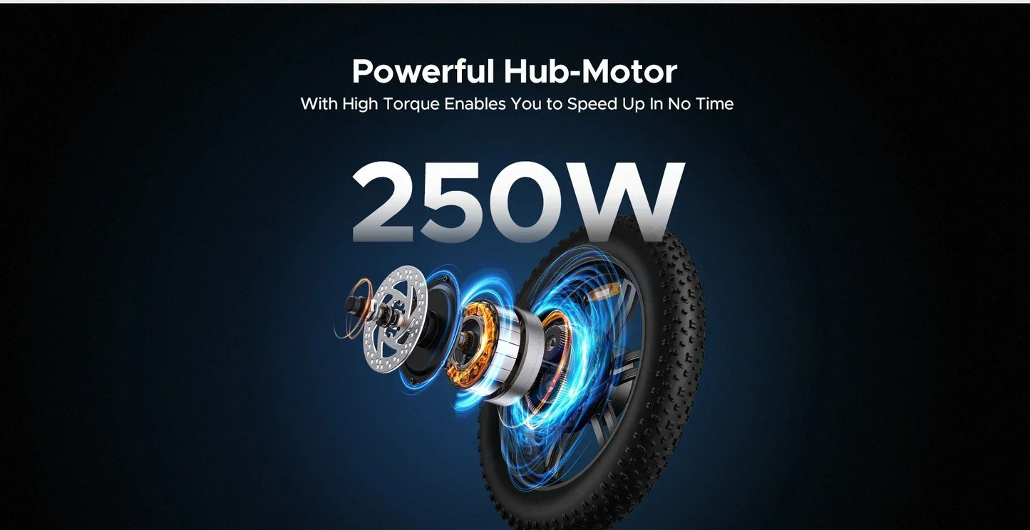 Electric Bicycle ENGWE L20 250W 48V 13AH Motor Battery 20*4.0inch Fat Tire Ebike 140km Mileage Adult Mountain City Electric Bike